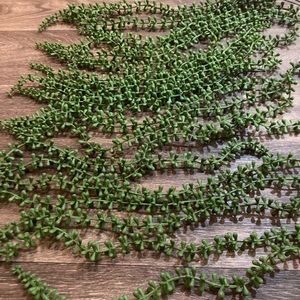 Fake Succulent String of Pearls From World Market